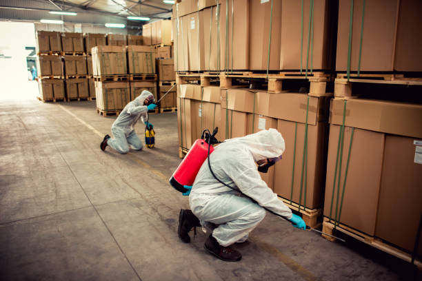 Best Pest Removal Services  in , LA