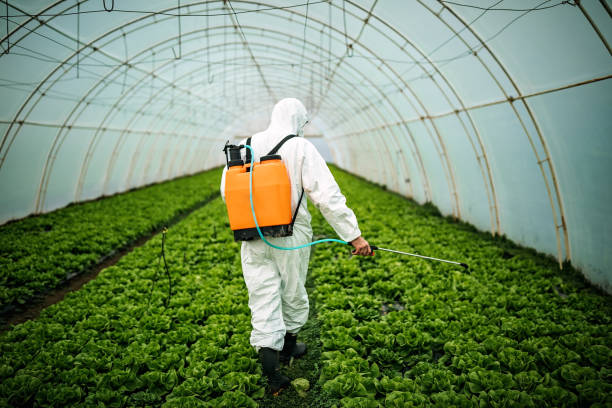 Best Affordable Pest Control Services  in , LA