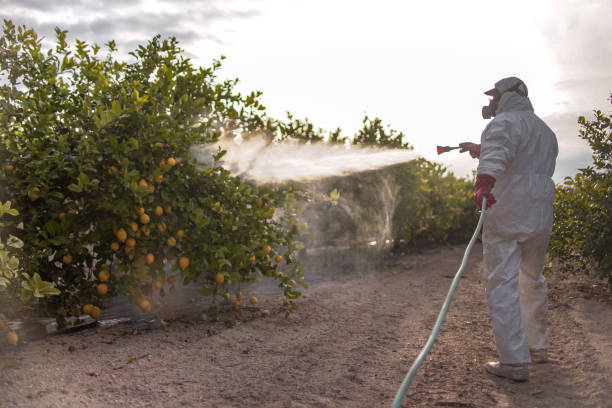 Best Pest Control Near Me  in , LA