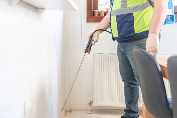 Best Flea Control Services  in , LA