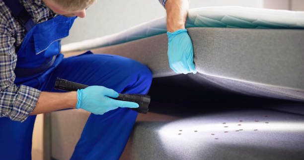 Best Affordable Pest Control Services  in , LA