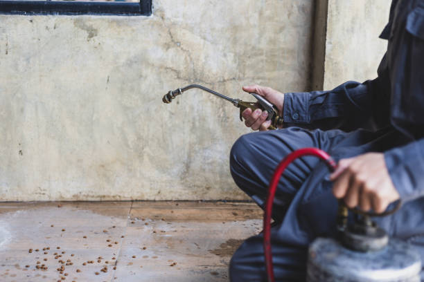 Best Emergency Pest Control  in , LA